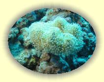 IMG_2007_05_26 18_14_33 * 2272 x 1704 * (647KB)